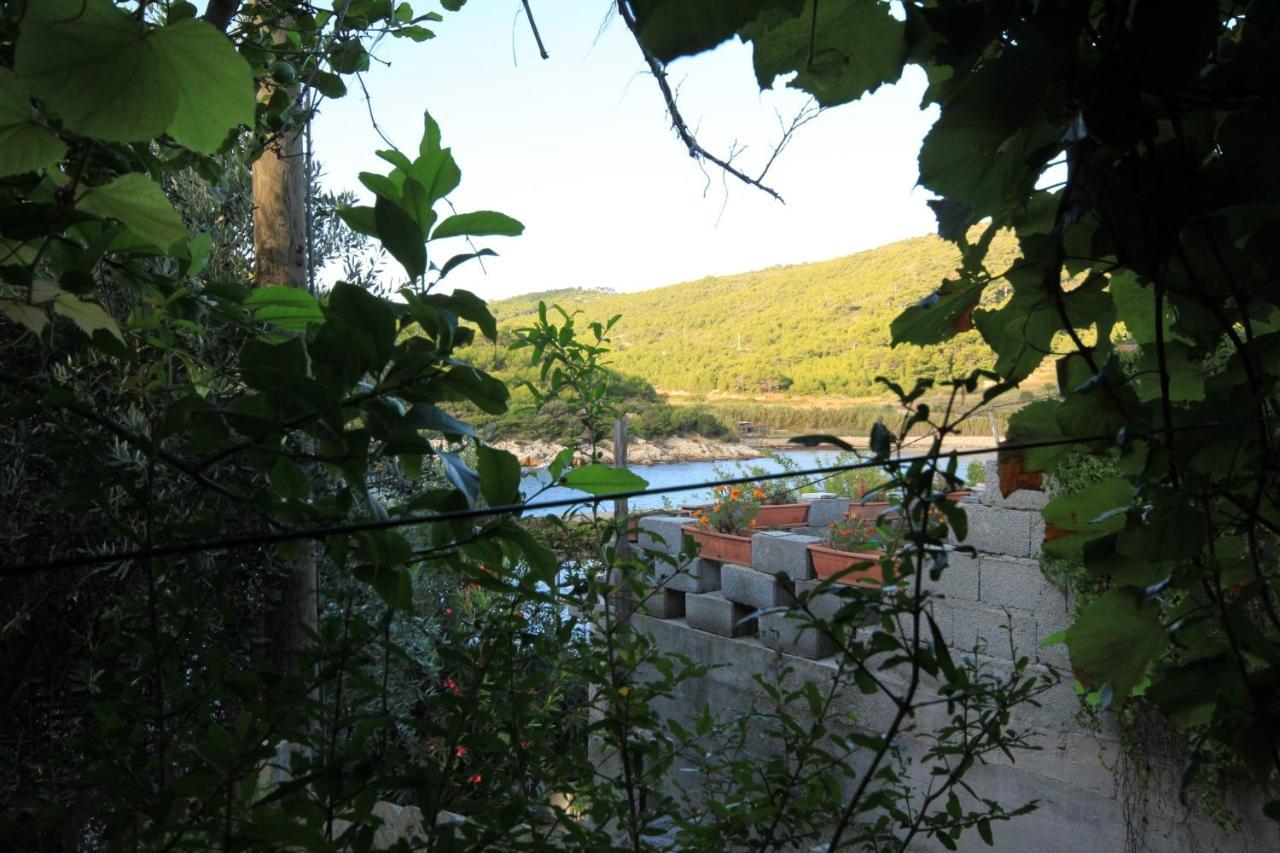 Apartments By The Sea Milna, Vis - 8913 מראה חיצוני תמונה